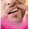GingiPhase Natural Herbal Dental Support Supplement for Healthy Gums, Teeth,