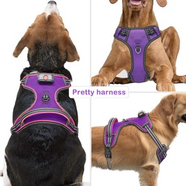 Light Up Dog Harness No Pull LED Dog Harness with Handle Vizbrite Rechargeable Lighted Dog Vest Harness for Small/Medium/Large/X-Large Size Dogs No Pull, 4 Point Adjustable Dog Harness