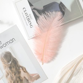 AWAYTR 8-10 inch (20-25cm) Natural Ostrich Feathers for Wedding Centerpieces Home Decoration,Flower Arrangement,DIY Christmas Decorations Decoration (10pcs,Pink)