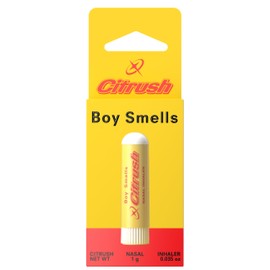 Boy Smells Boy Smells Citrus Sniffer Nasal Stick C Menthol Citrus Aroma Inhaler C Plant-Based Scent Stick for Daily Refresh C Aromatherapy Stick for Adults C 1 Pack
