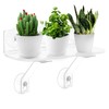 12-Inch Window Boxes Sill Planter Suction Cup Holder, 5-Inch Extra