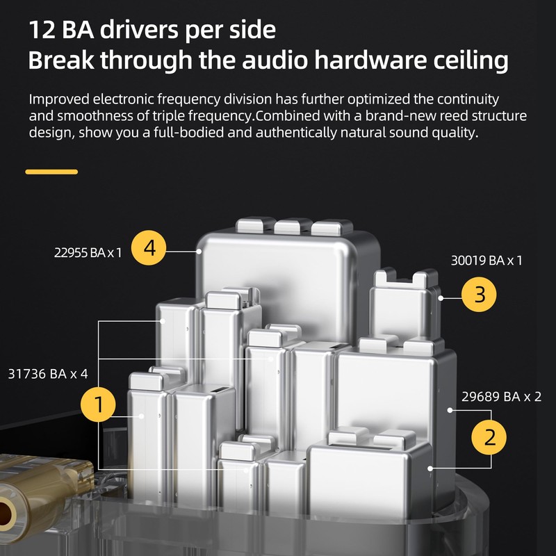 FEDAI KZ AS24 In-Ear Monitor, 12BA Tunable HiFi Earbuds, Wired,