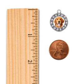 Inspired Silver - The Golden Retriever Silver Dangle Earrings for Women - Circle Charm Earrings French Hook Drop with Cubic Zirconia - Women's Dangly Earrings Jewelry Gift with Velvet Pouch