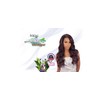 Freetress Equal Brazilian Natural Deep Invisible L Part Lace Front