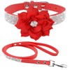 Haoyueer Cute Dazzling Sparkling Elegant Fancy Soft Suede Leather Bling
