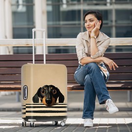 Adorable Småland Hound Luggage Cover – Black and White Striped Dog Print Travel Suitcase Protector – Fits 20 to 22 Inch Luggage,S