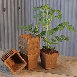 CowPots 4-inch Tall Square Nitrogen-Rich Plant Seedling Starter, Pack of 12