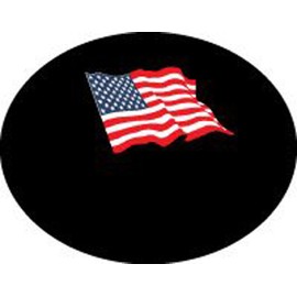Dish Cover for Round or Elliptical Dish - USA Flag on Black - The Dish Hoodie