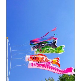 Carp Streamer Aluminum Pole, Telescopic, 6.6 ft (2 m) (0.7 m - 1 m) Carp, Golden Top, Koinobori Flagpole, Indoor/Outdoor, Garden, Carp Streamer, Compact, Stainless Steel, Embedded Tango Festival,