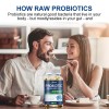 ZHPHK Probiotic Lactobacillus Reuteri 100 Billion CFU/gm - 400mg -