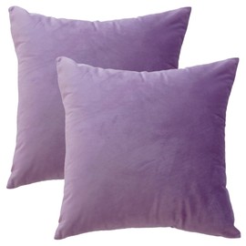 GONOVE Cushion Covers 40x40cm Decorative Modern Throw Pillow Case Pack of 2 Velvet Soft Pillow Cushion Covers Square Light Purple Pillowcase for Livingroom Sofa Bedroom