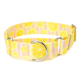 Country Brook Petz - HossFit Jr Wide Martingale Dog Collar - Tasty Collection Featuring Yummy Designs (1 1/2 Inch, Large)