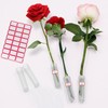 40 Pieces Flower Nutrient Tubes and 2 Label Stickers, Clear