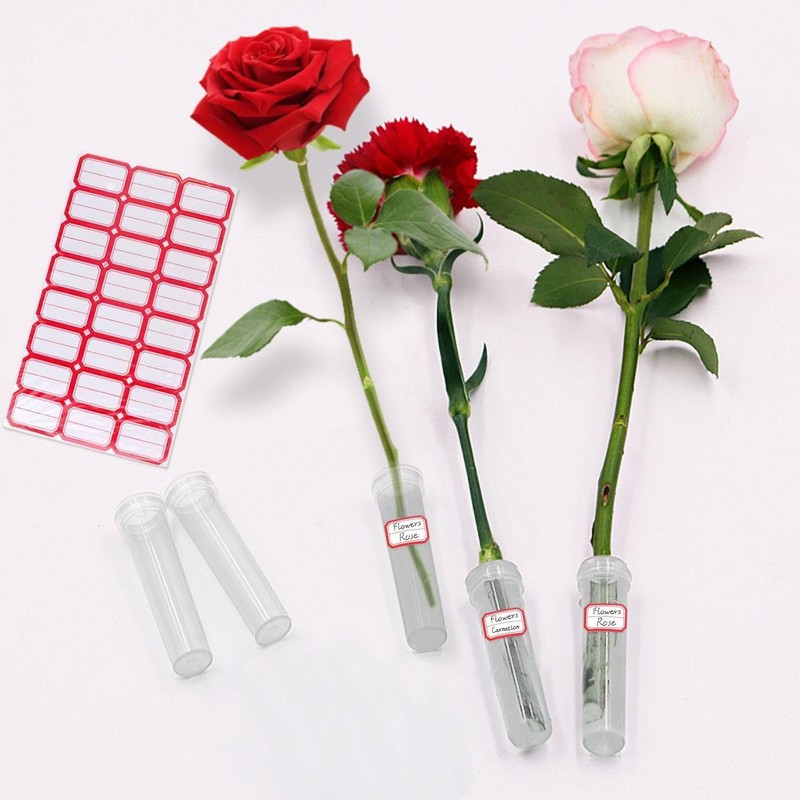 40 Pieces Flower Nutrient Tubes and 2 Label Stickers, Clear