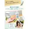 Argital Scallop Shampoo (for Oily & Dandruff & Itchy Skin)