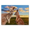 Lais Puzzle Kangaroo in the outback at the sunset, Australia,
