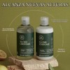 Tea Tree Lemon Sage Thickening Shampoo, 10.14 Fl Oz