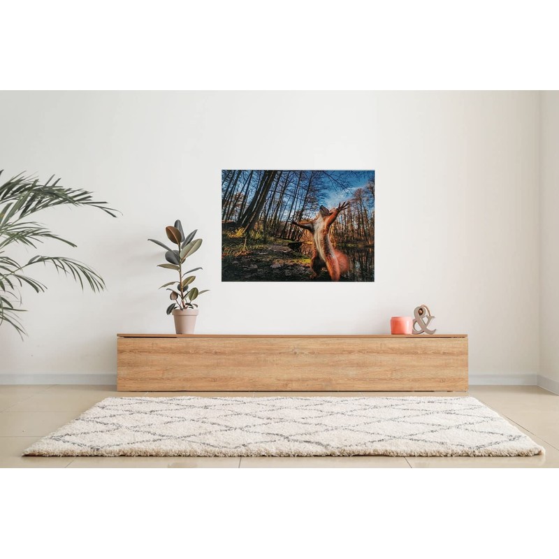 Puzzle 1000 Pieces Squirrel Squirrel 69 x 51 cm Forest