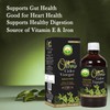 BASIC AYURVEDA Olive Cider Vinegar | Natural Jaitoon Sirka |