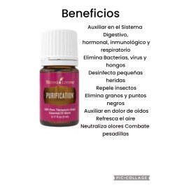 Young Living Set De Aceite Esencial Purificación + R. C Young Living