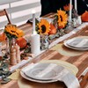 Fall Thanksgiving Pumpkin Placemats Set of 6 Fall Autumn Table