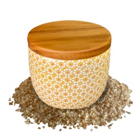 SAL MARINA | Gourmet Dijon Mustard Sea Salt 11oz Kosher Salt | Natural Vegan Gluten Free Organic Table Salt Seasoning Food