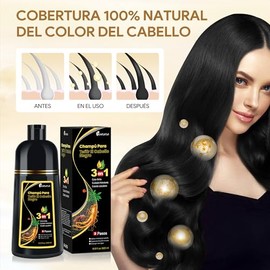 Black Hair Dye Shampoo 3 in 1, Shampoo para Canas con Tinte, Champú para Teñir el Cabello Negro, Champú Tinte Cubre Canas para Mujer y Hombres (500ML)