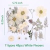 48PCS White Large Real Dried Pressed Flowers Leaves Natural Plant