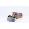 High Desert Timothy Grass Hay Pellets for Rabbits, Guinea Pigs,
