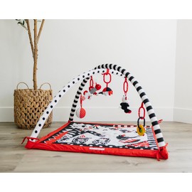 Genius Baby Toys Portable Baby Play Gym and Activity Mat 0-6 Months, Easy Set Up and Take Down, High Contrast Graphics, Washable Fabric, Ideal for Tummy Time, Compact Size with Carrying Case