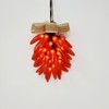 More Than Christmas 35 Lights Chile Pepper Lighted Rista -
