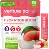 Venture Pal Sugar Free Electrolyte Powder Packets - Liquid Daily