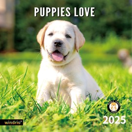 2025 Wall Calendar,Calendar 2025, November 2024 - December 2025, Wall Calendar Puppies, 12" x 24" Opened,Full Page Months Thick & Sturdy Paper for Calendar Organizing & Planning