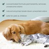 Dr. Mercola, Pet Stain and Odor Remover, 24 FL. oz