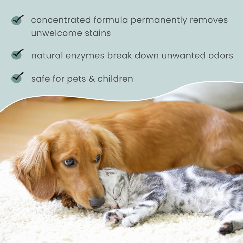 Dr. Mercola, Pet Stain and Odor Remover, 24 FL. oz