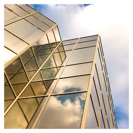 BDF PRGD Window Film Premium Color High Heat Control and Daytime Privacy Gold Outside, Silver Inside - 24in X 24ft