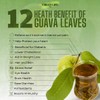 Green Life Guava Tea Leaves 150.
