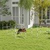 Heemab Enhance Dog Agility Training with Complete 8 Piece Jump