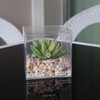 DAMEIORCHID Artificial Plants in Display Boxes, Small Plant POTS, Ideal