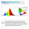 1FT T5 4-Pack Grow Lights for Indoor Plants, 3000K Warm