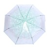 flexman Cherry Blossoms Umbrella, Fashionable Transparent Windproof Manual Folding Umbrella,