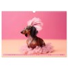 Hundemode vom Dogwalk (Wandkalender 2025 DIN A3 quer), CALVENDO Monatskalender