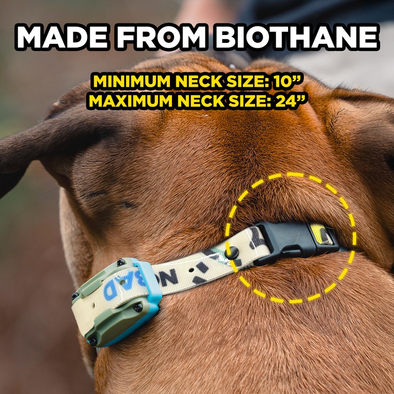 Dogtra Tom Davis Quick Release 3/4" Inch Strap with Buckle