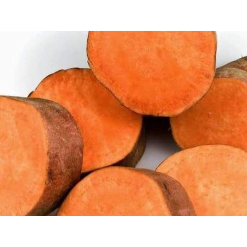 Sheló NABEL Crema de Camote Silvestre Herbal (100 ml)