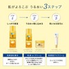 HADA LABO Gokujun Premium Hyaluronic Lotion Refill 170mL 2-piece set