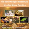 YEGRUEB G9 Heat Lamp Bulbs for Reptile,Day White, Mini Halogen