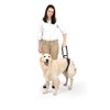 PetSafe CareLift Rear Support Harness - Lifting Aid with Handle