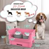 Mess Proof Dog Bowls, No Mess Dog Food and Water
