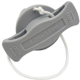 TBESEVENXT 2PCS Air Valve air Mattress Plug Fits Boston Valve Boat air Valve Adapter Inflatable Boat Spiral Air Matress Paddle Board Accessories