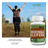 Moringa Oleifera 90 Tabletas Nutricion 2000